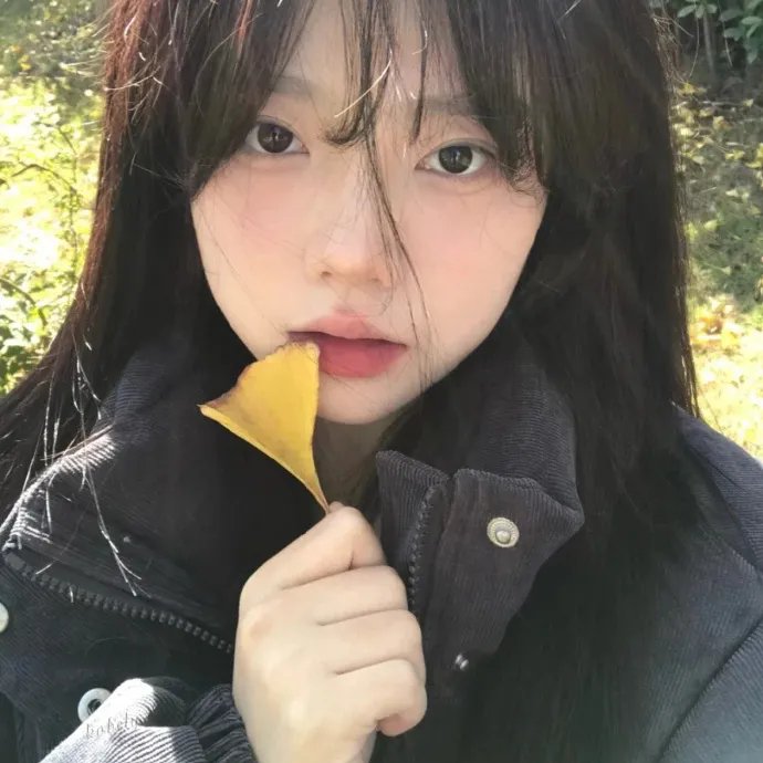 情歌风波